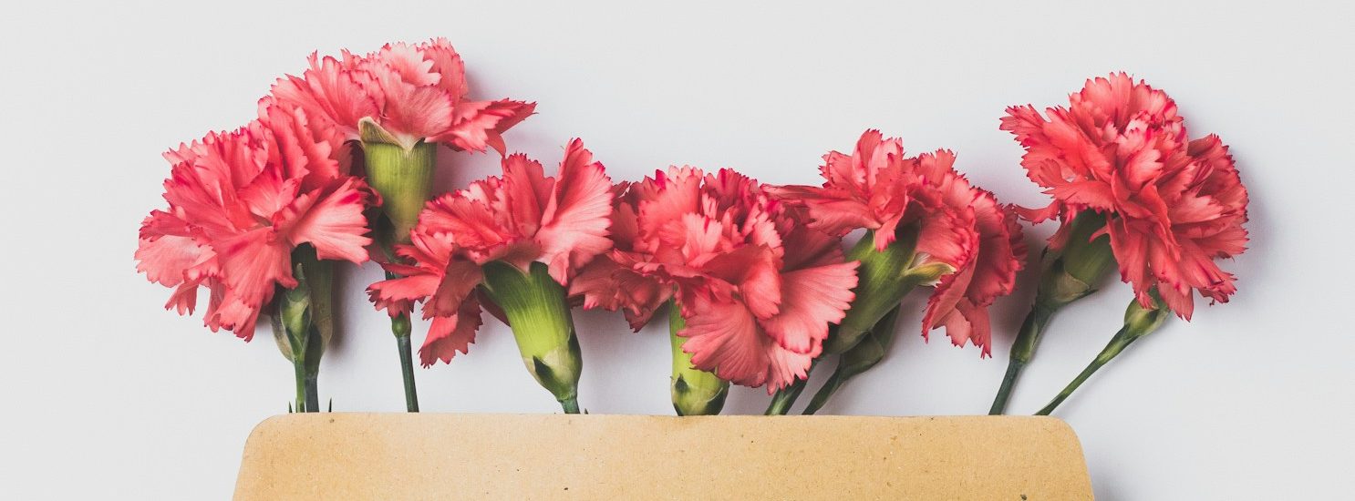 Rosa Nelken, die aus einem beige Umschlag herausragen.
